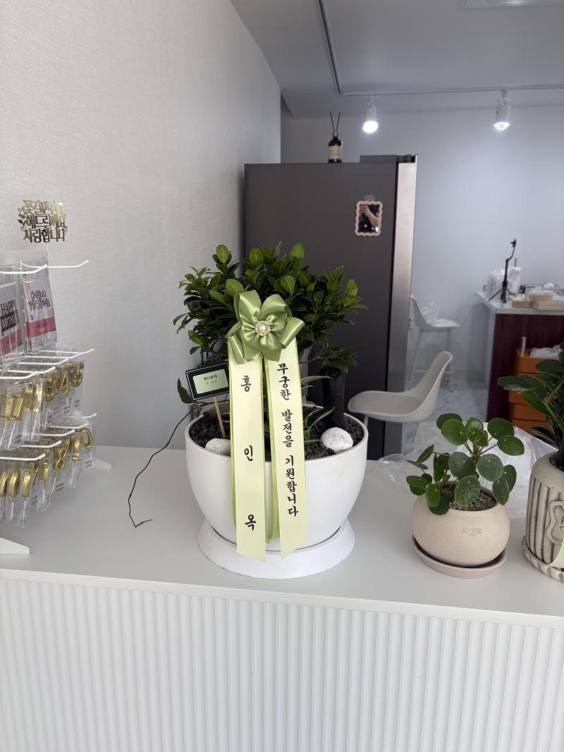 업로드 이미지
