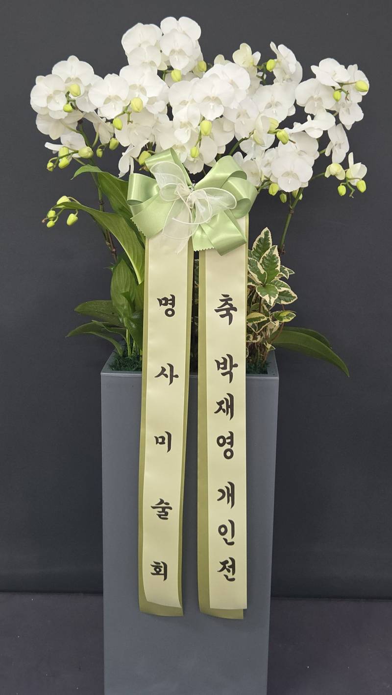 업로드 이미지