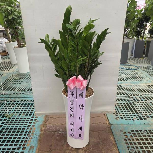 업로드 이미지