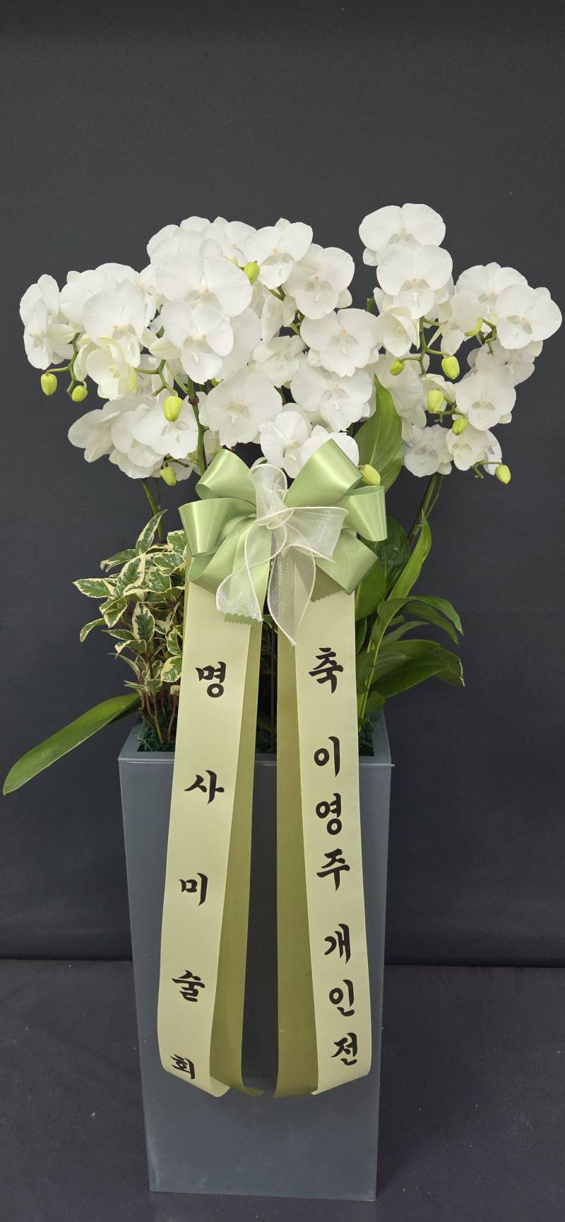 업로드 이미지