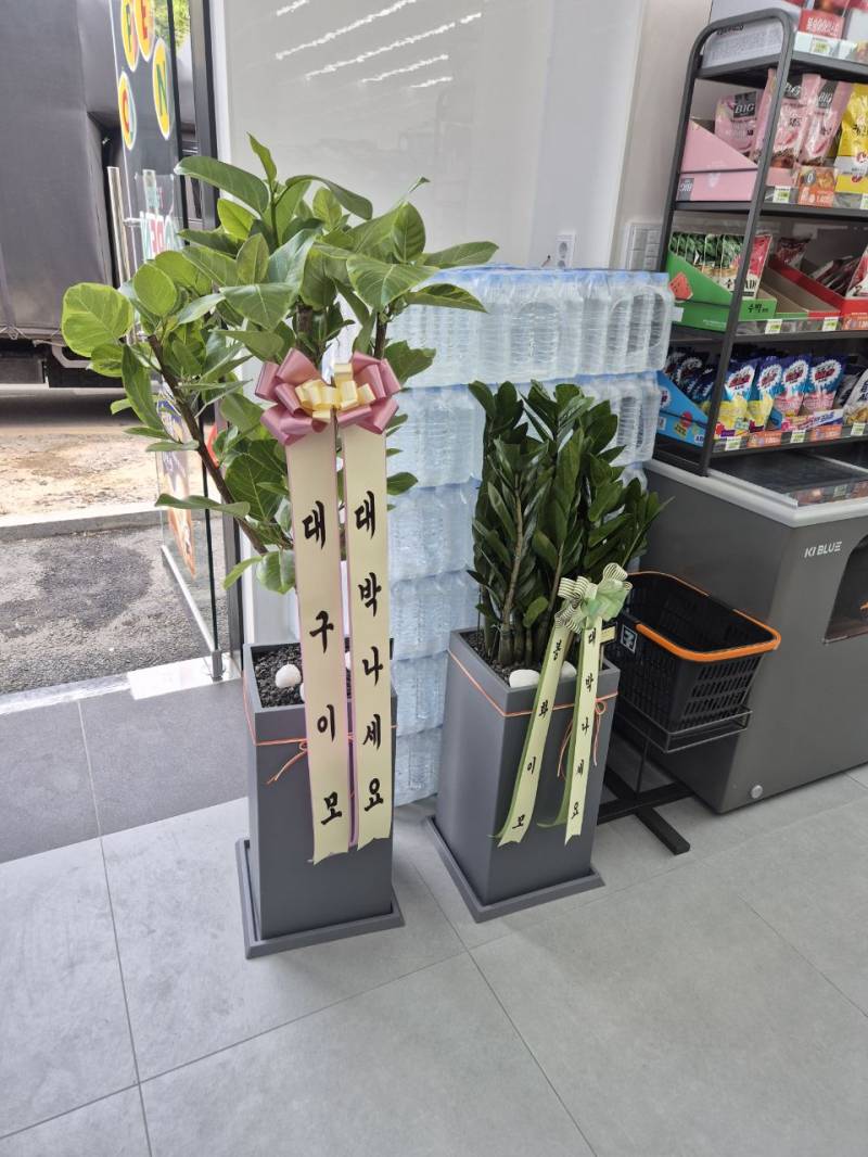 업로드 이미지