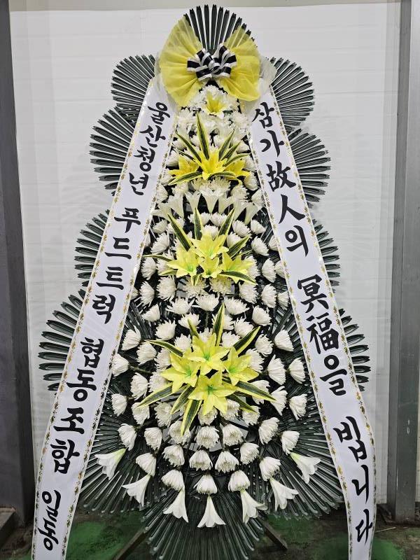 업로드 이미지