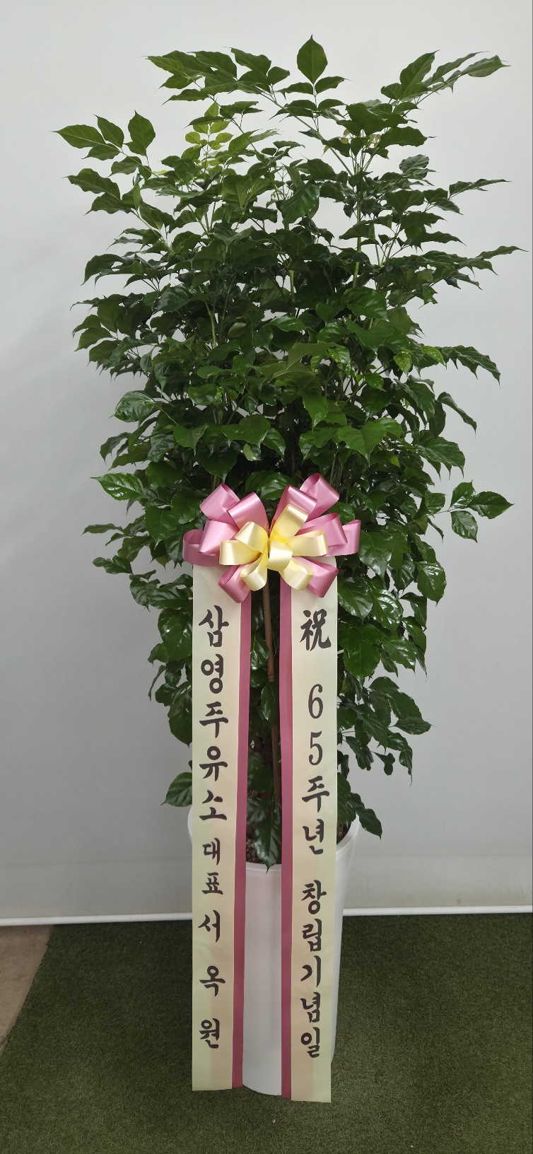 업로드 이미지