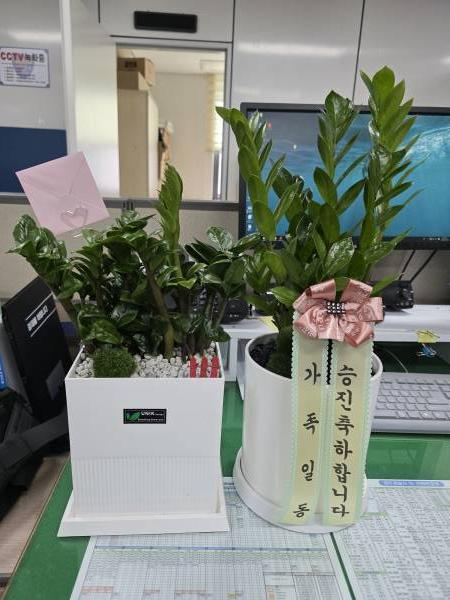 업로드 이미지
