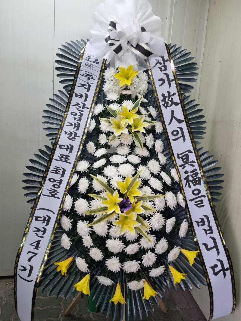 업로드 이미지