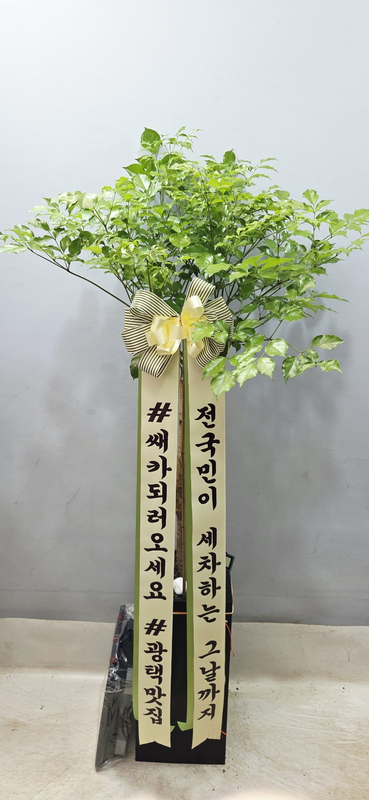 업로드 이미지