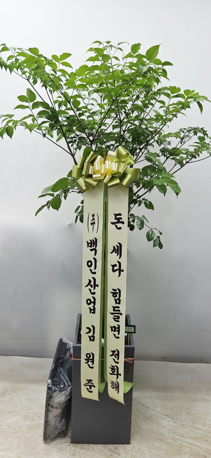 업로드 이미지