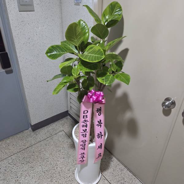 업로드 이미지