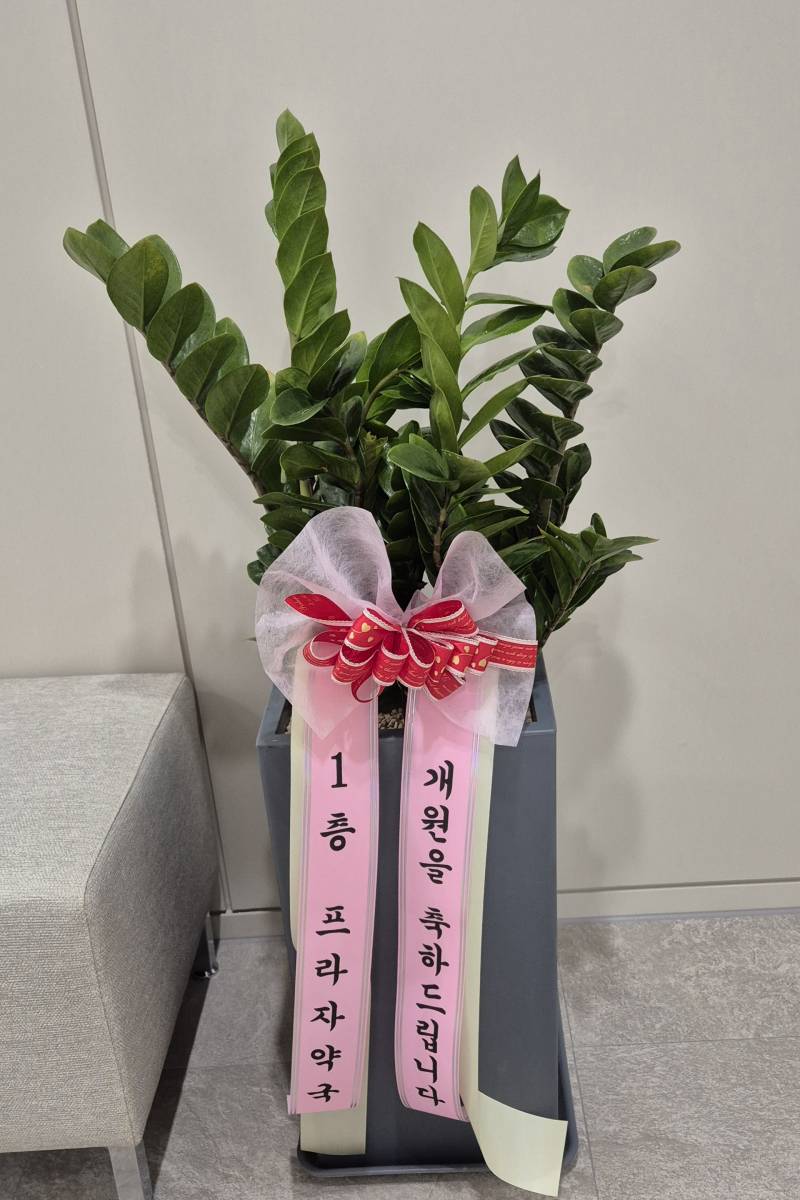 업로드 이미지