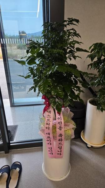 업로드 이미지