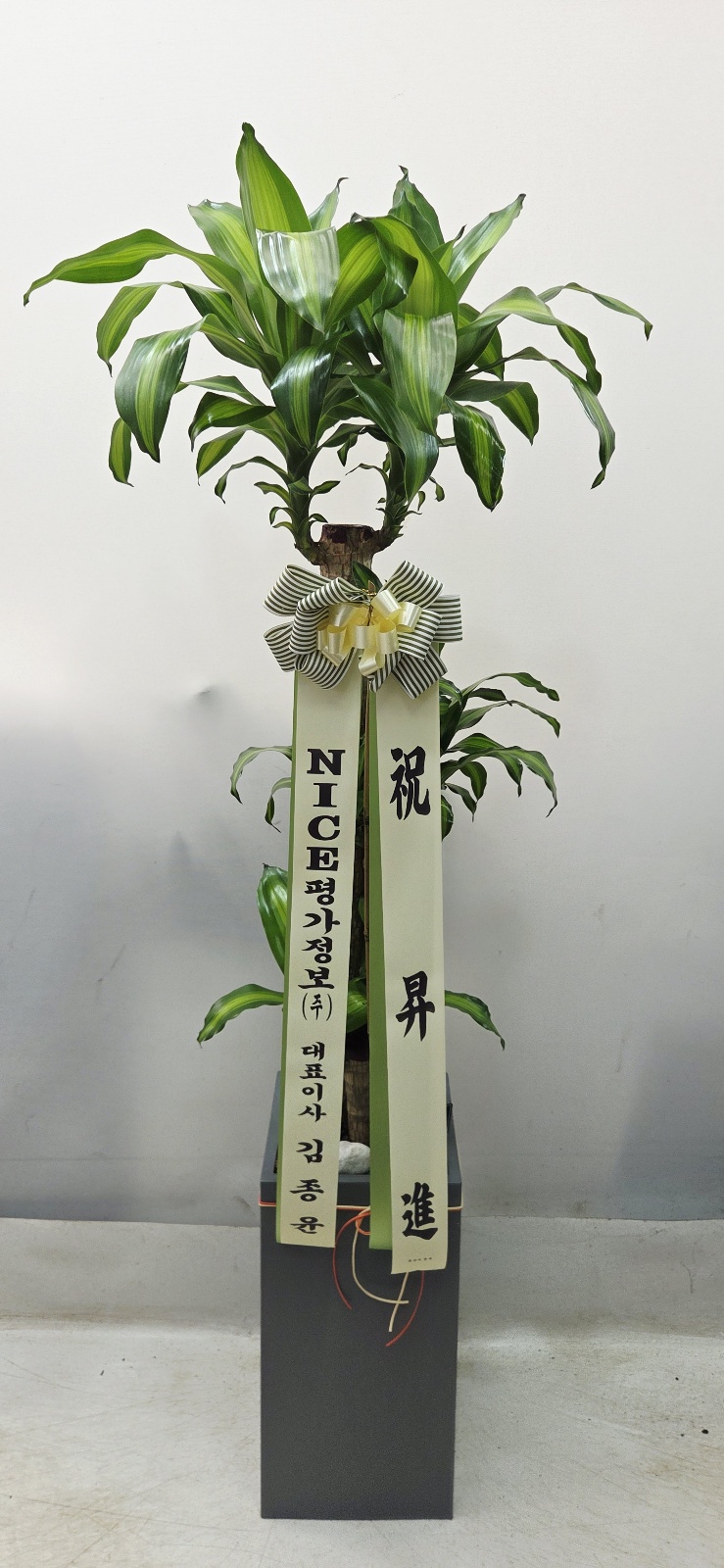 업로드 이미지