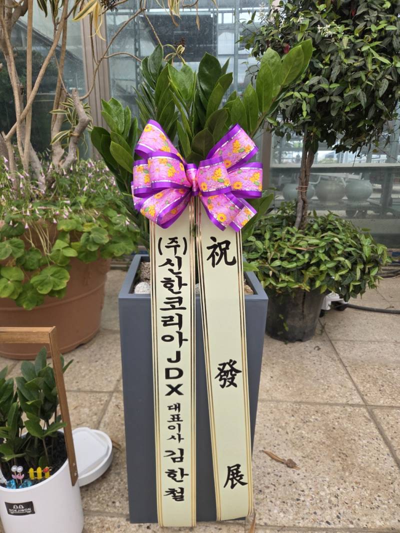 업로드 이미지