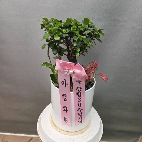 업로드 이미지