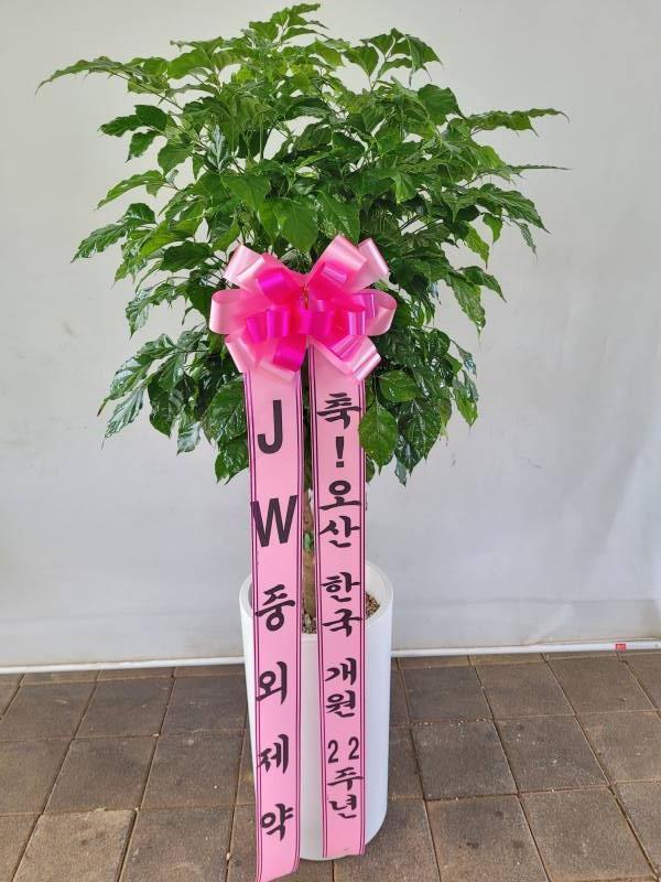 업로드 이미지