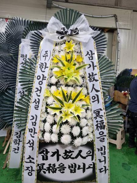 업로드 이미지