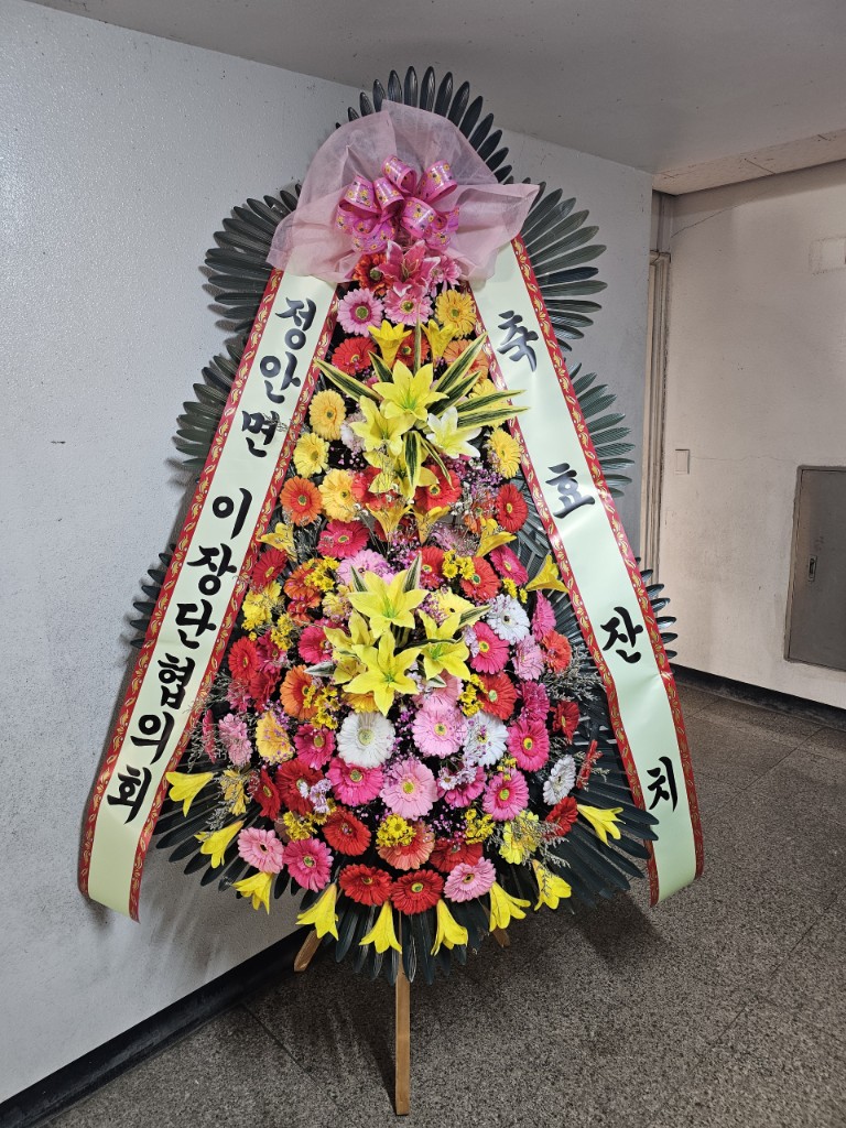 업로드 이미지