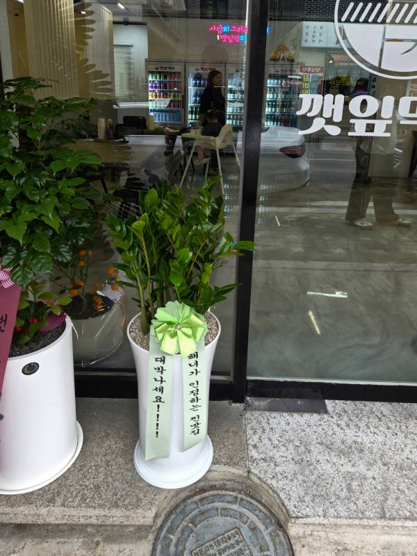 업로드 이미지