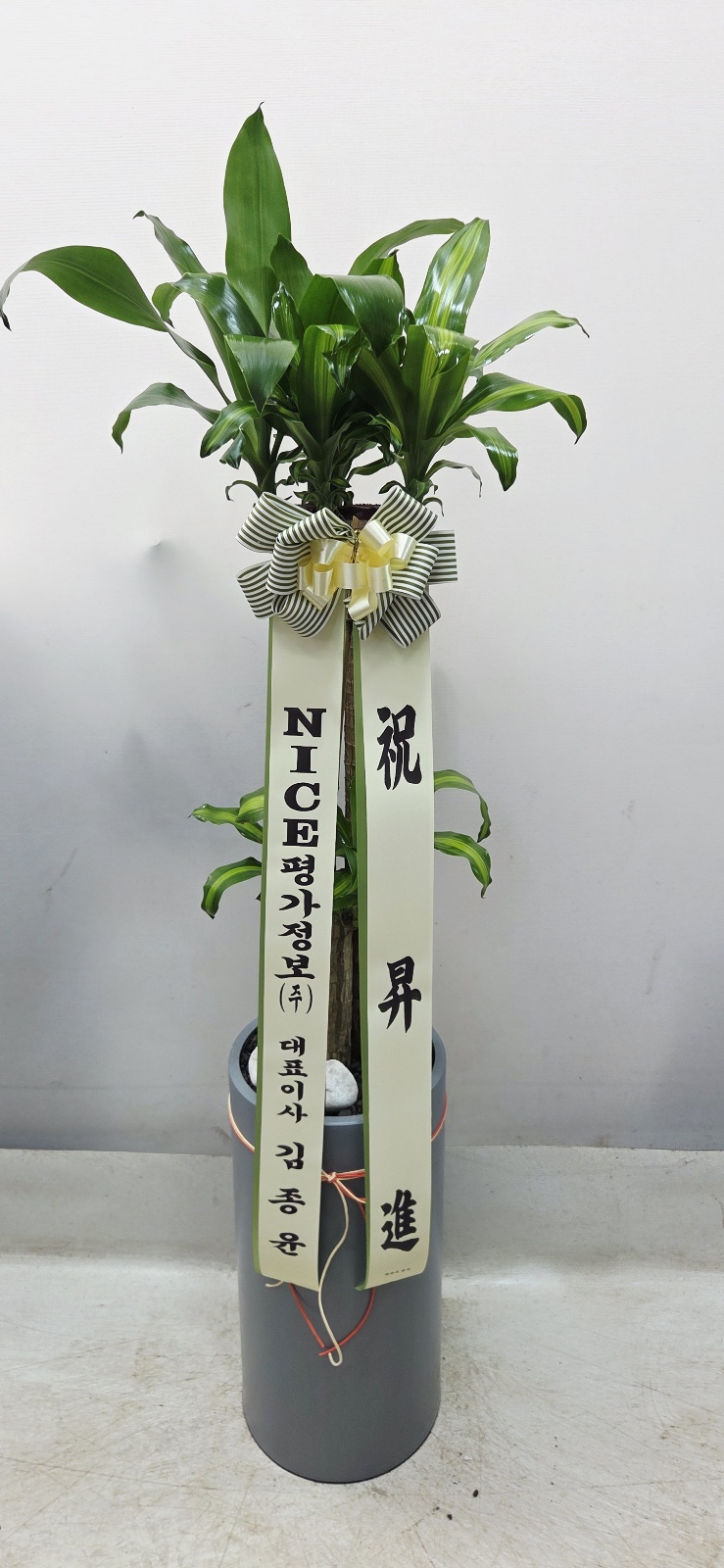 업로드 이미지