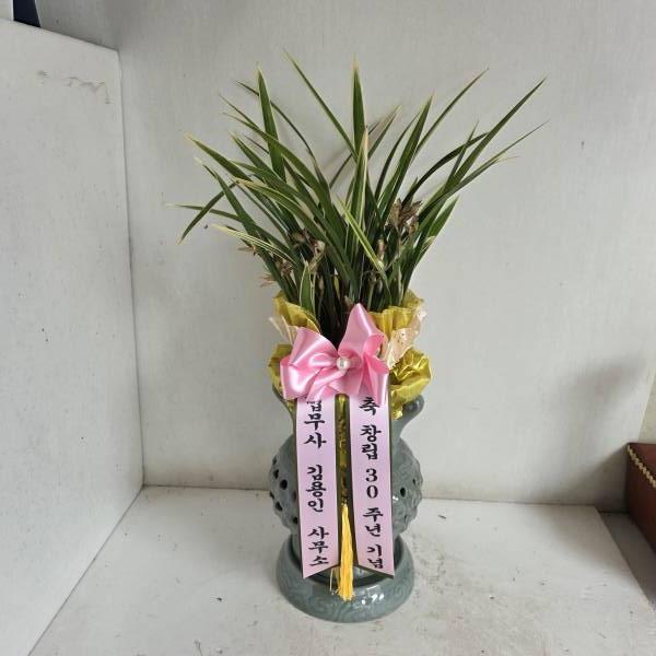 업로드 이미지