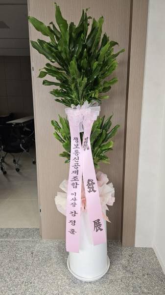 업로드 이미지