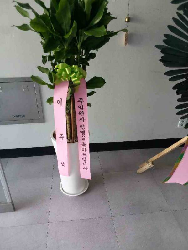 업로드 이미지