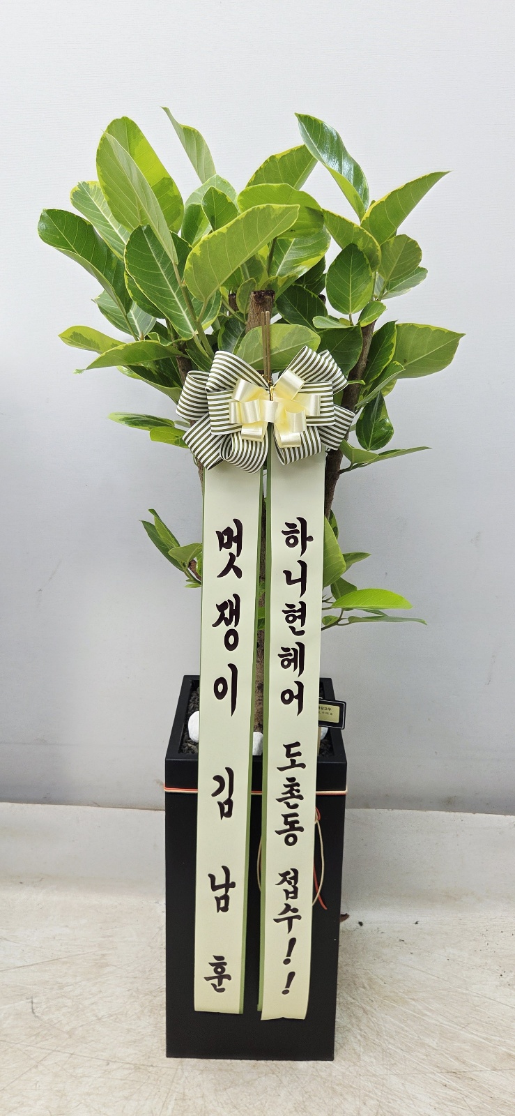 업로드 이미지