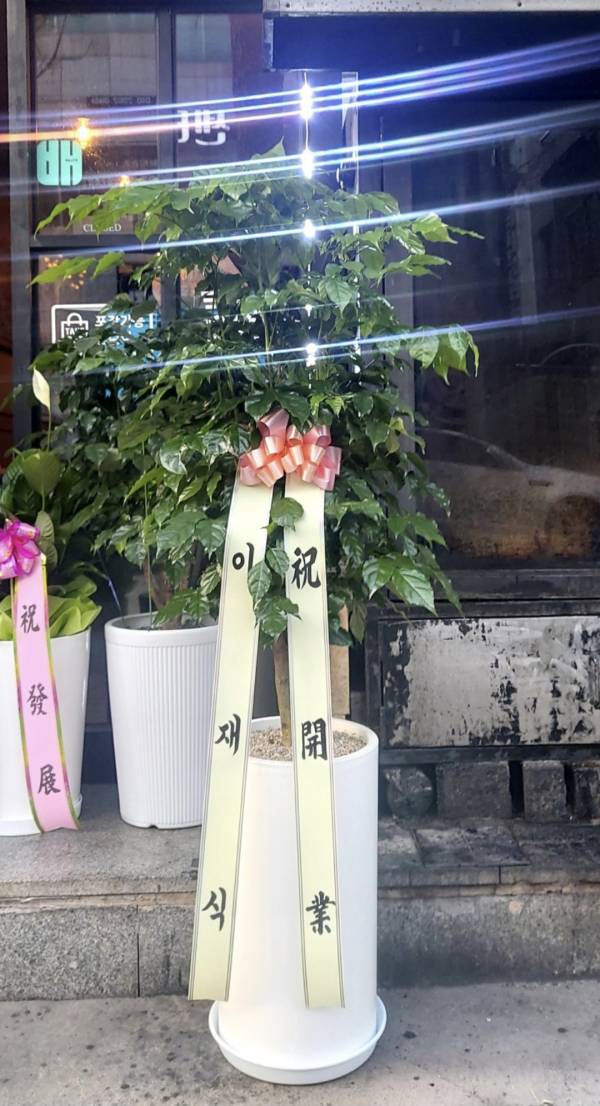 업로드 이미지