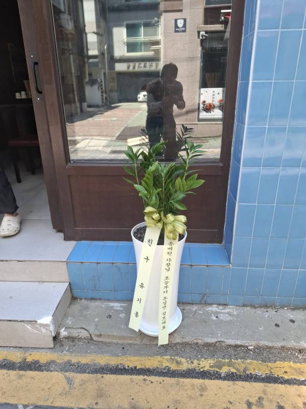업로드 이미지