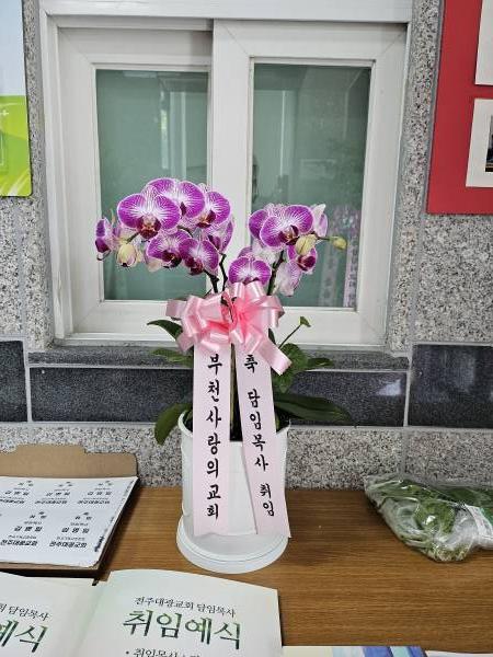 업로드 이미지
