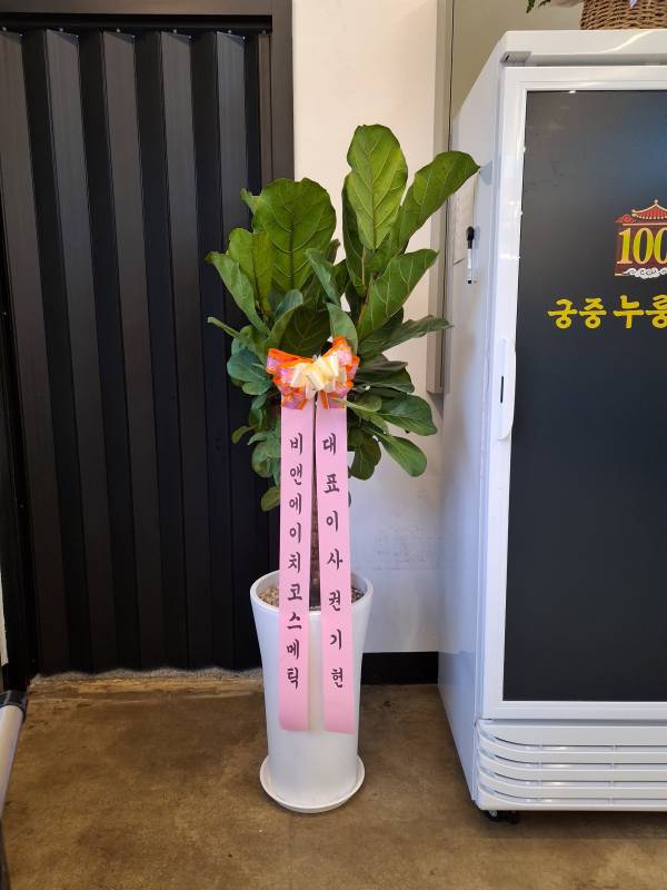 업로드 이미지