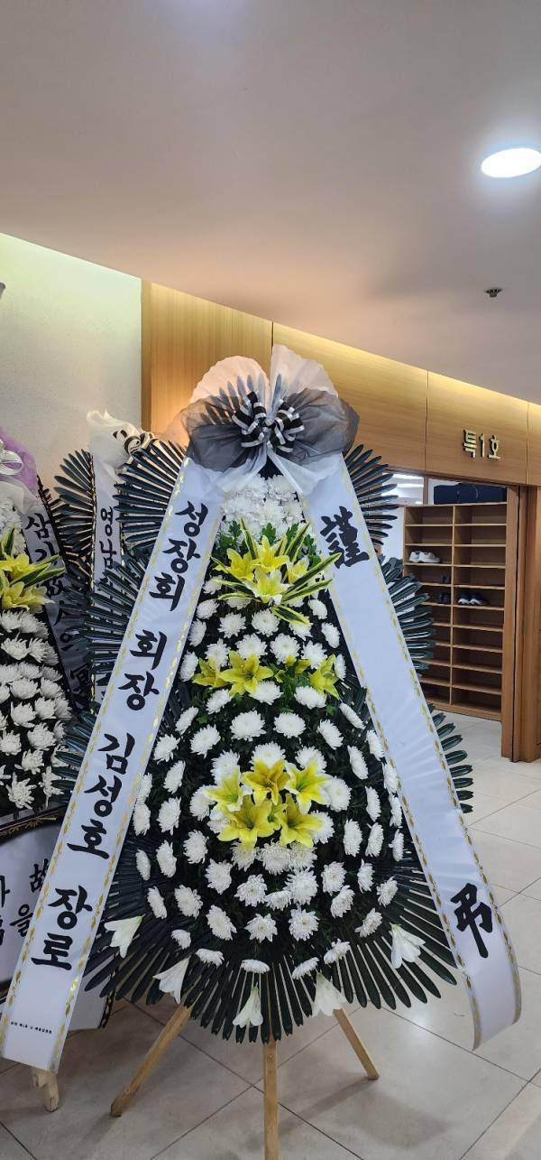 업로드 이미지