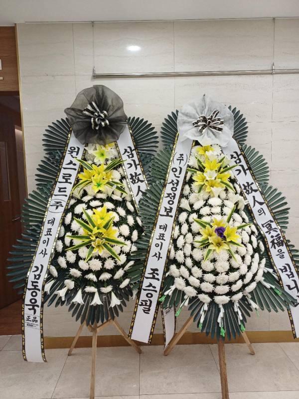 업로드 이미지