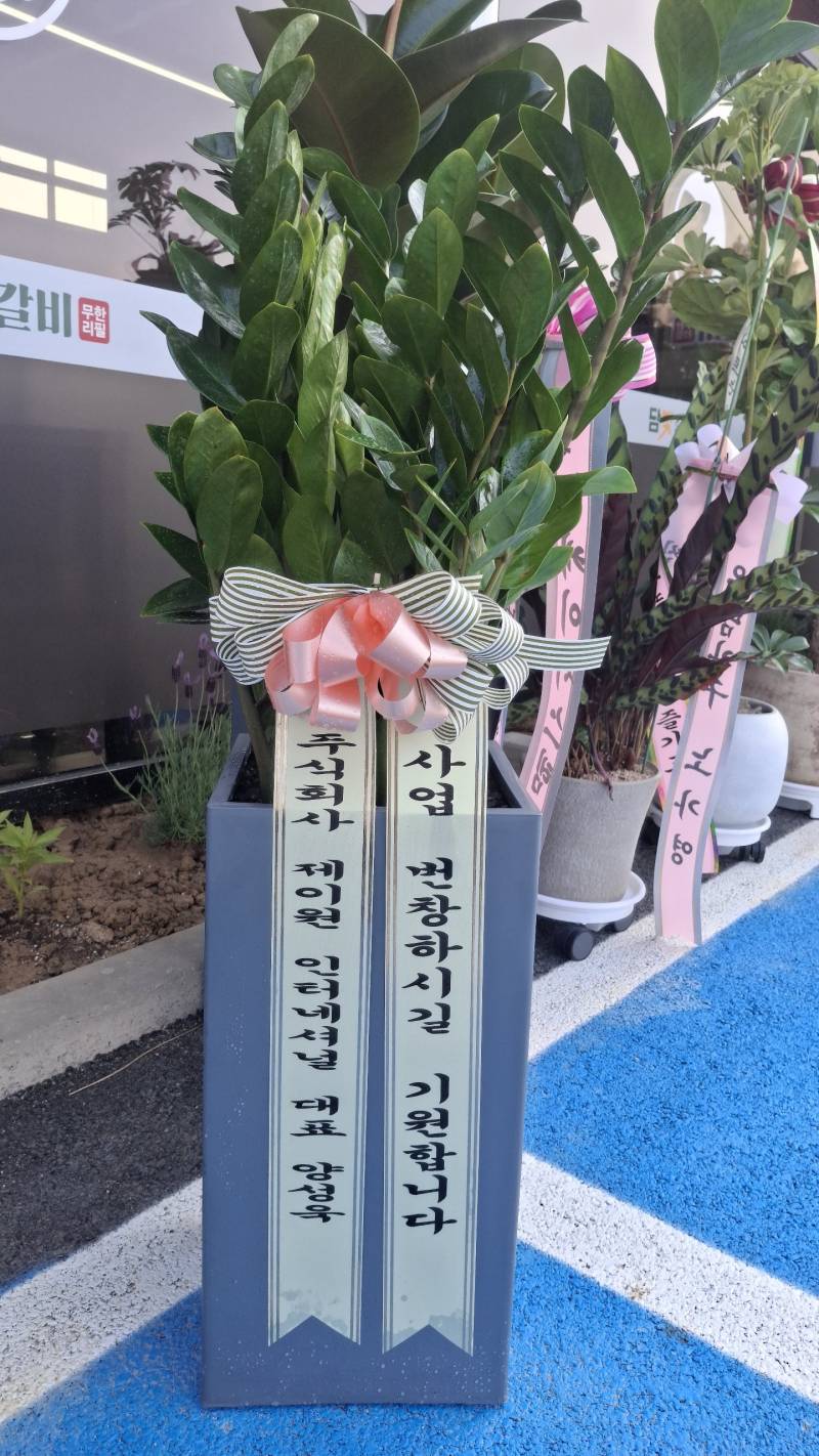 업로드 이미지