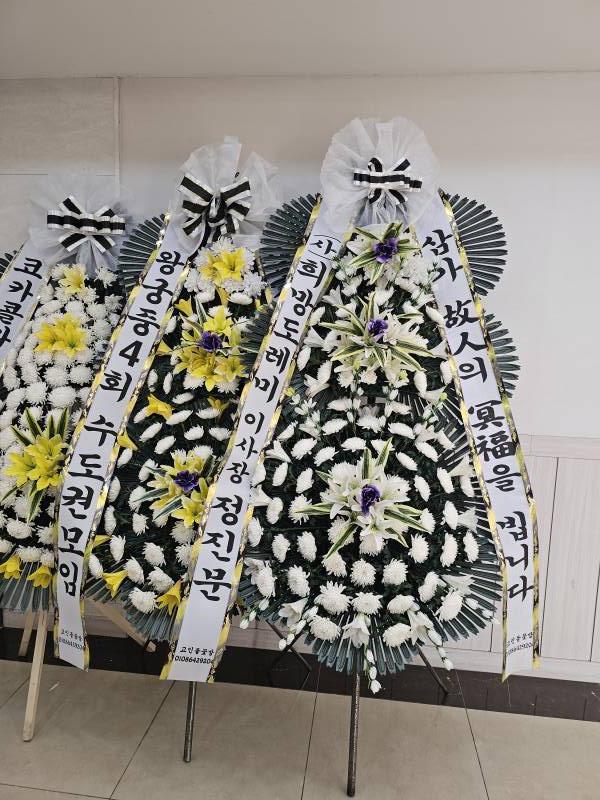 업로드 이미지