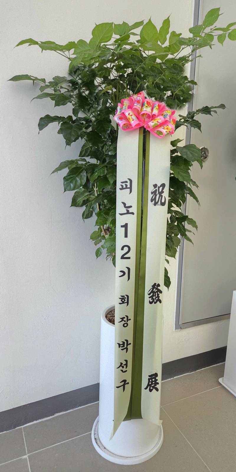 업로드 이미지