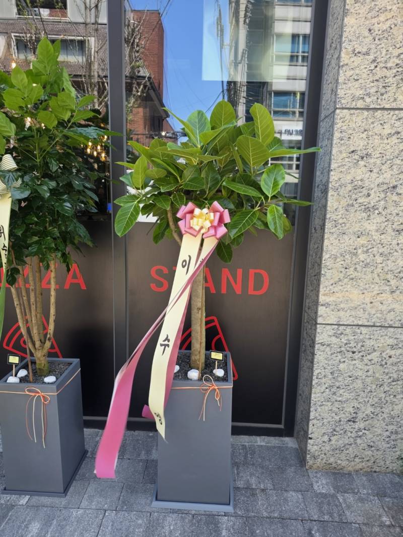 업로드 이미지