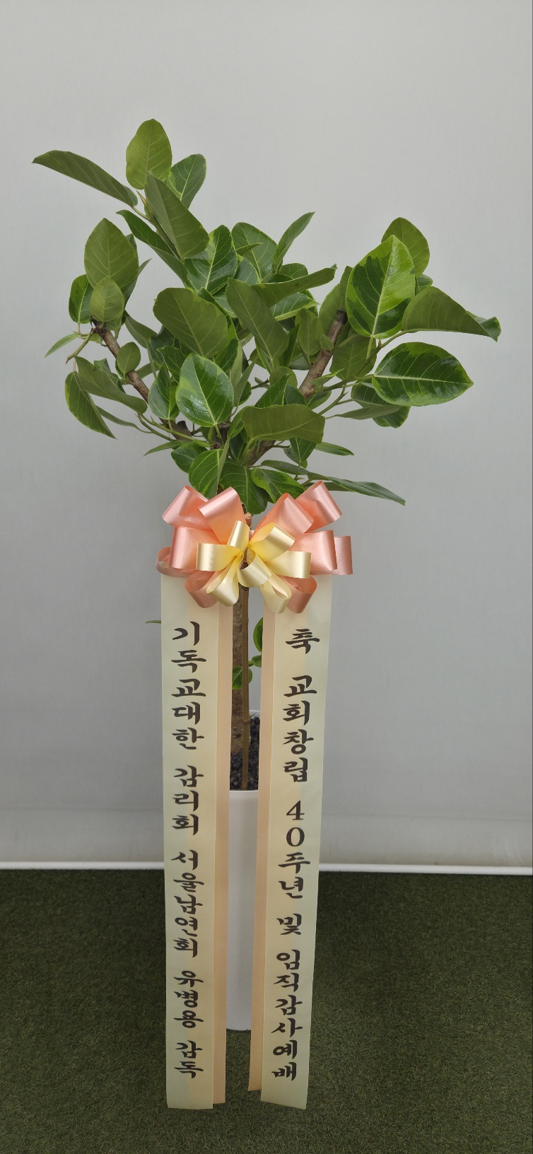 업로드 이미지