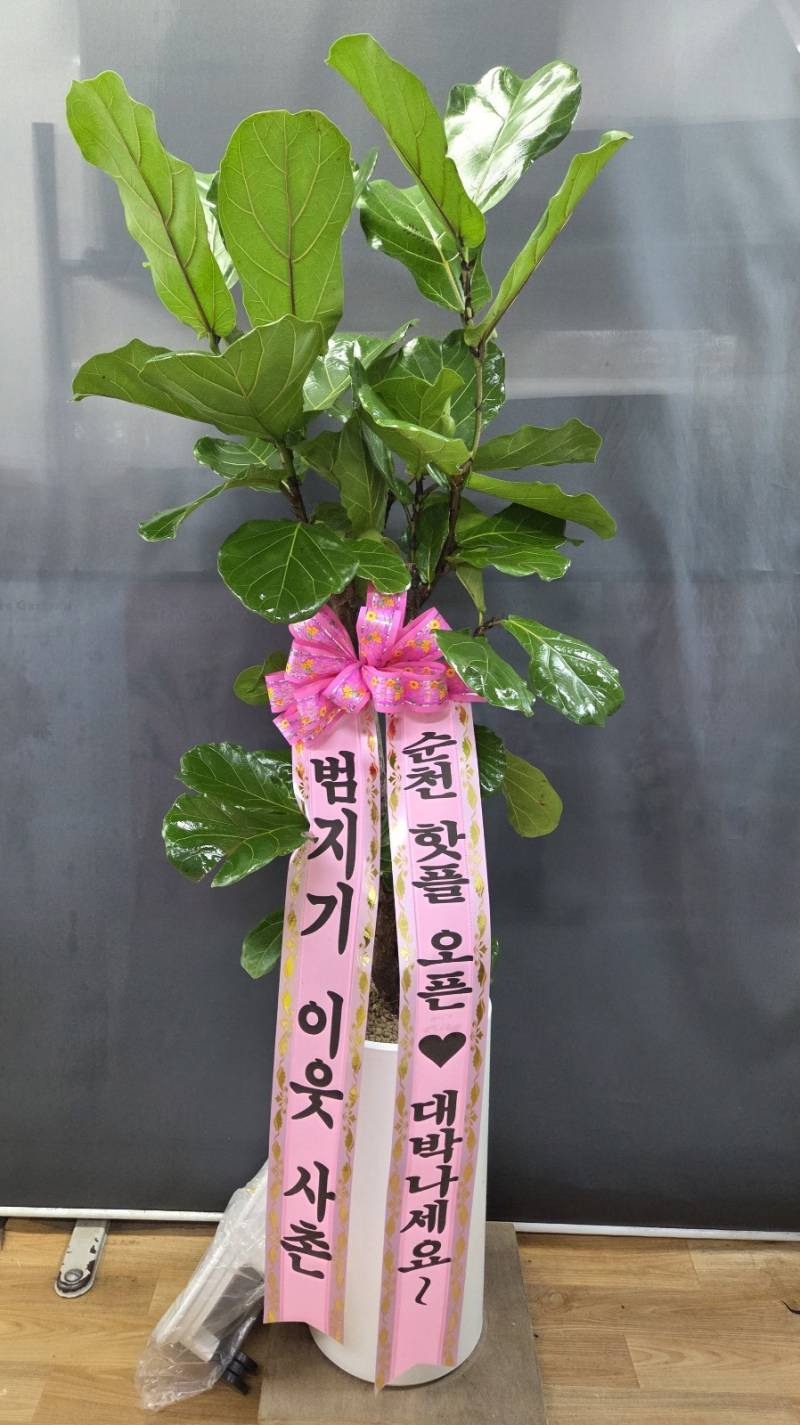 업로드 이미지