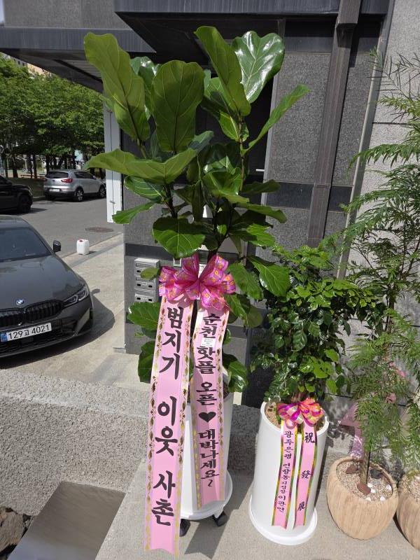 업로드 이미지