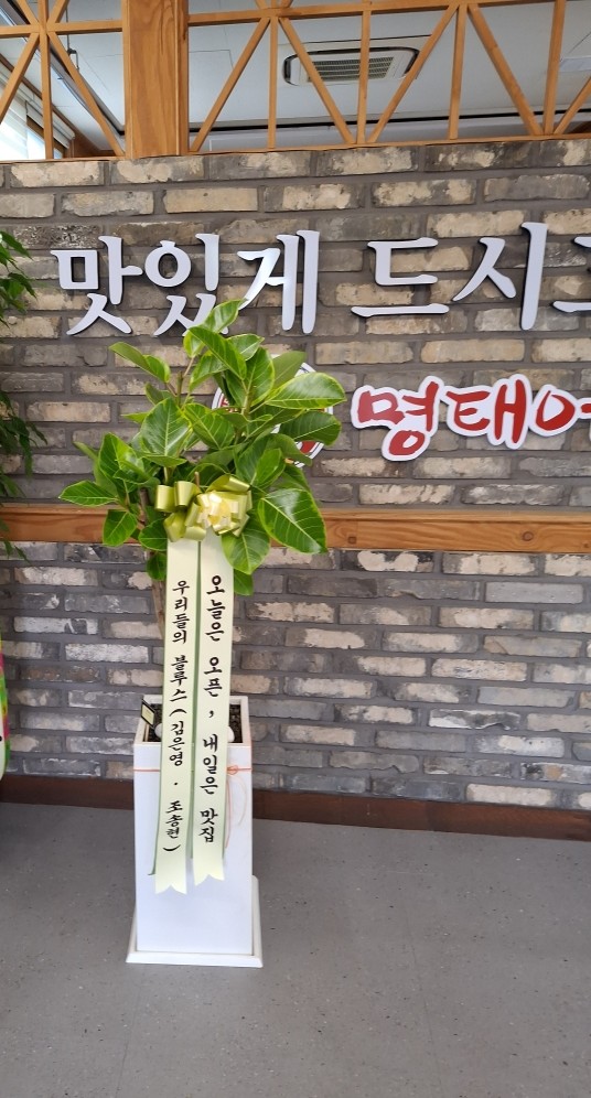 업로드 이미지
