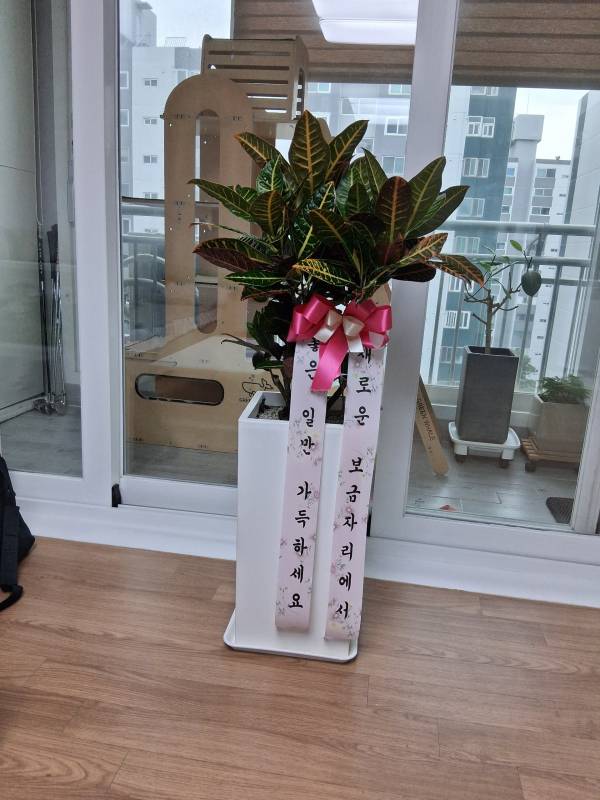 업로드 이미지