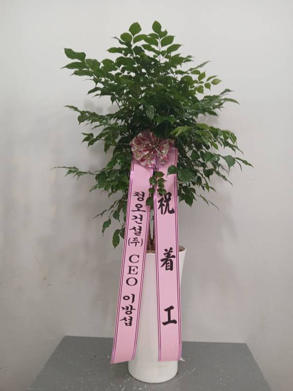 업로드 이미지