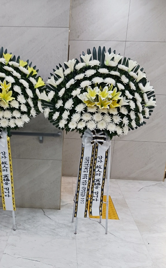 업로드 이미지