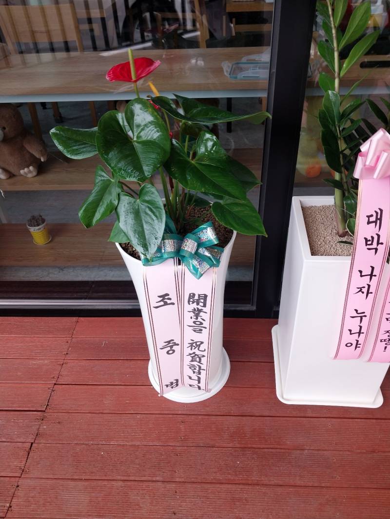 업로드 이미지
