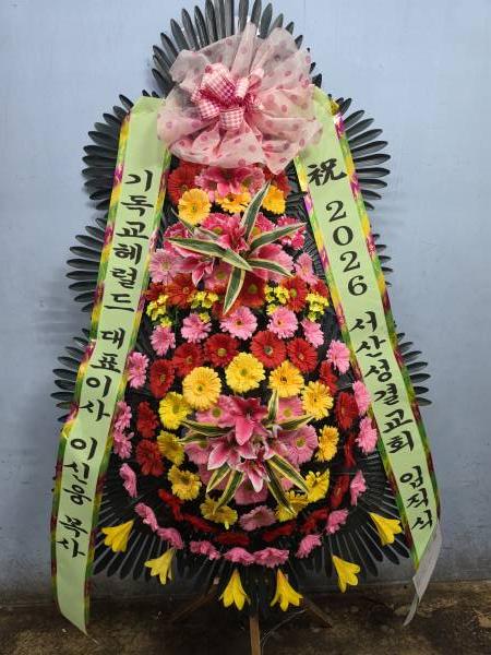 업로드 이미지
