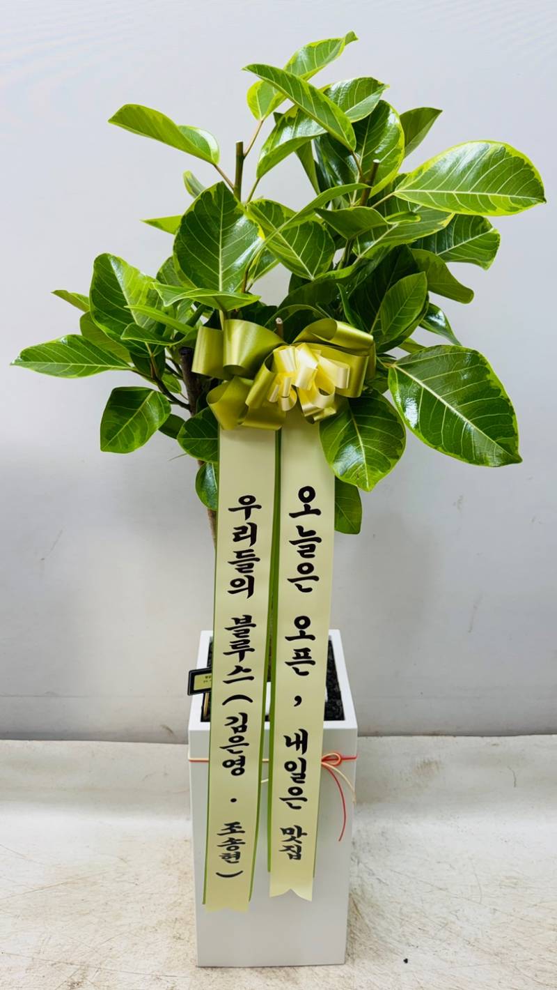 업로드 이미지