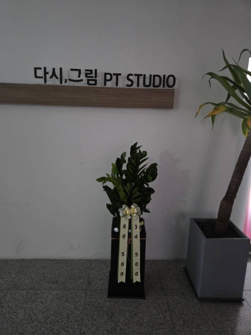 업로드 이미지