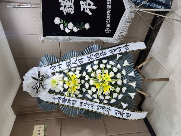 업로드 이미지