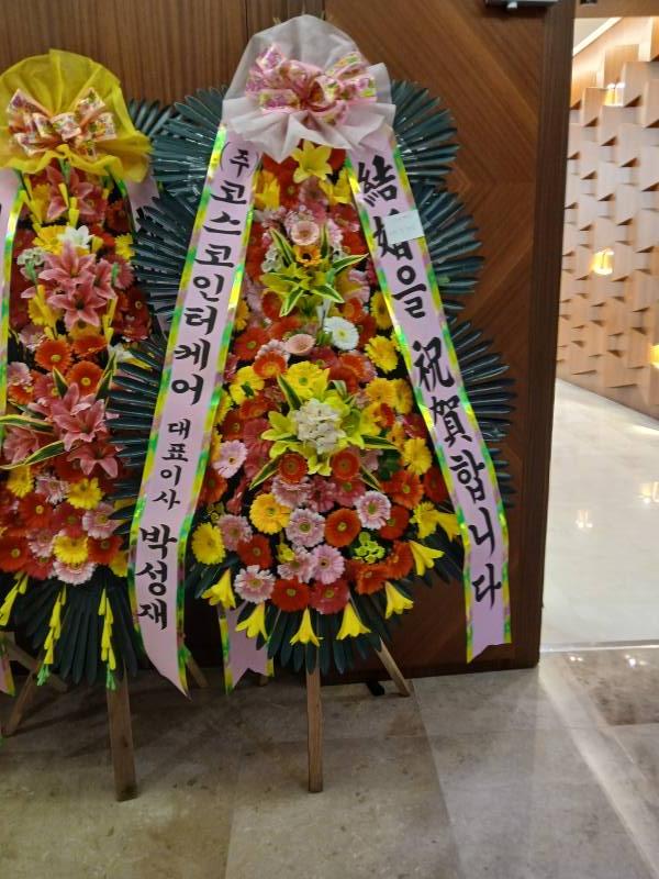 업로드 이미지