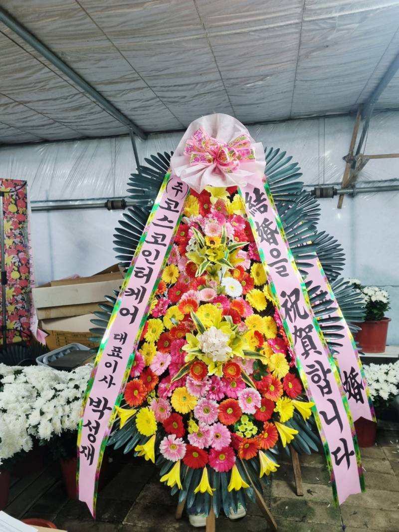 업로드 이미지